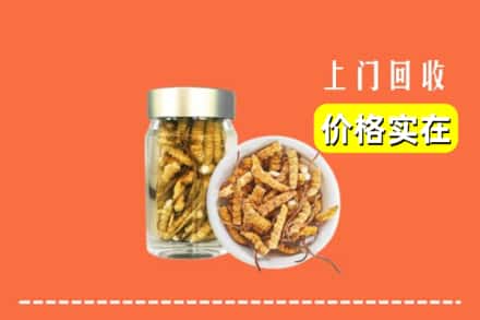 蚌埠禹会区回收散虫草