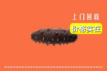 蚌埠禹会区回收海参