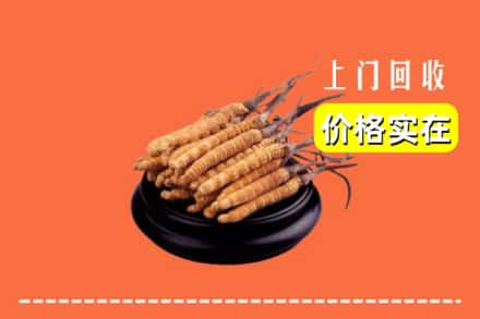 蚌埠禹会区回收冬虫夏草