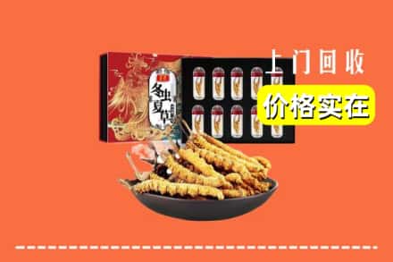 蚌埠禹会区回收虫草