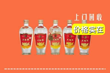 蚌埠禹会区回收老五粮液